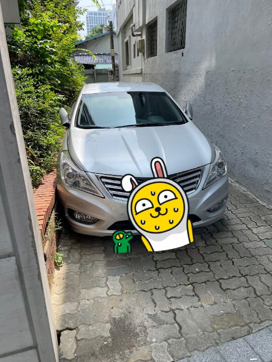 보배드림 캡쳐.
